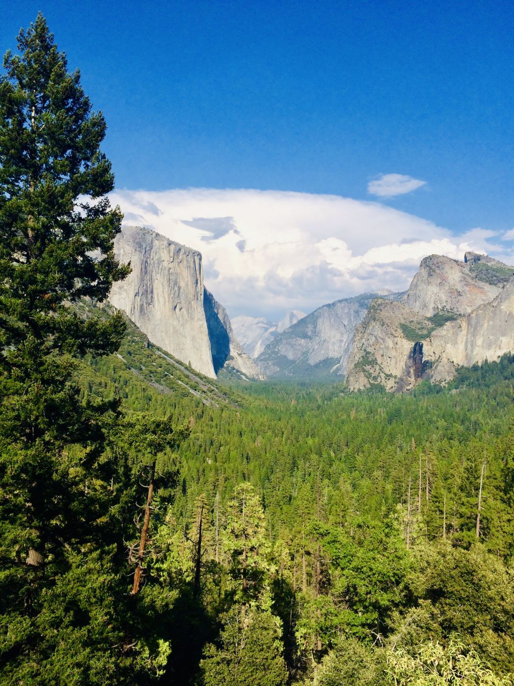 Tunnel View, Yosemite National Park, California, USA