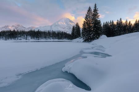 Arnisee