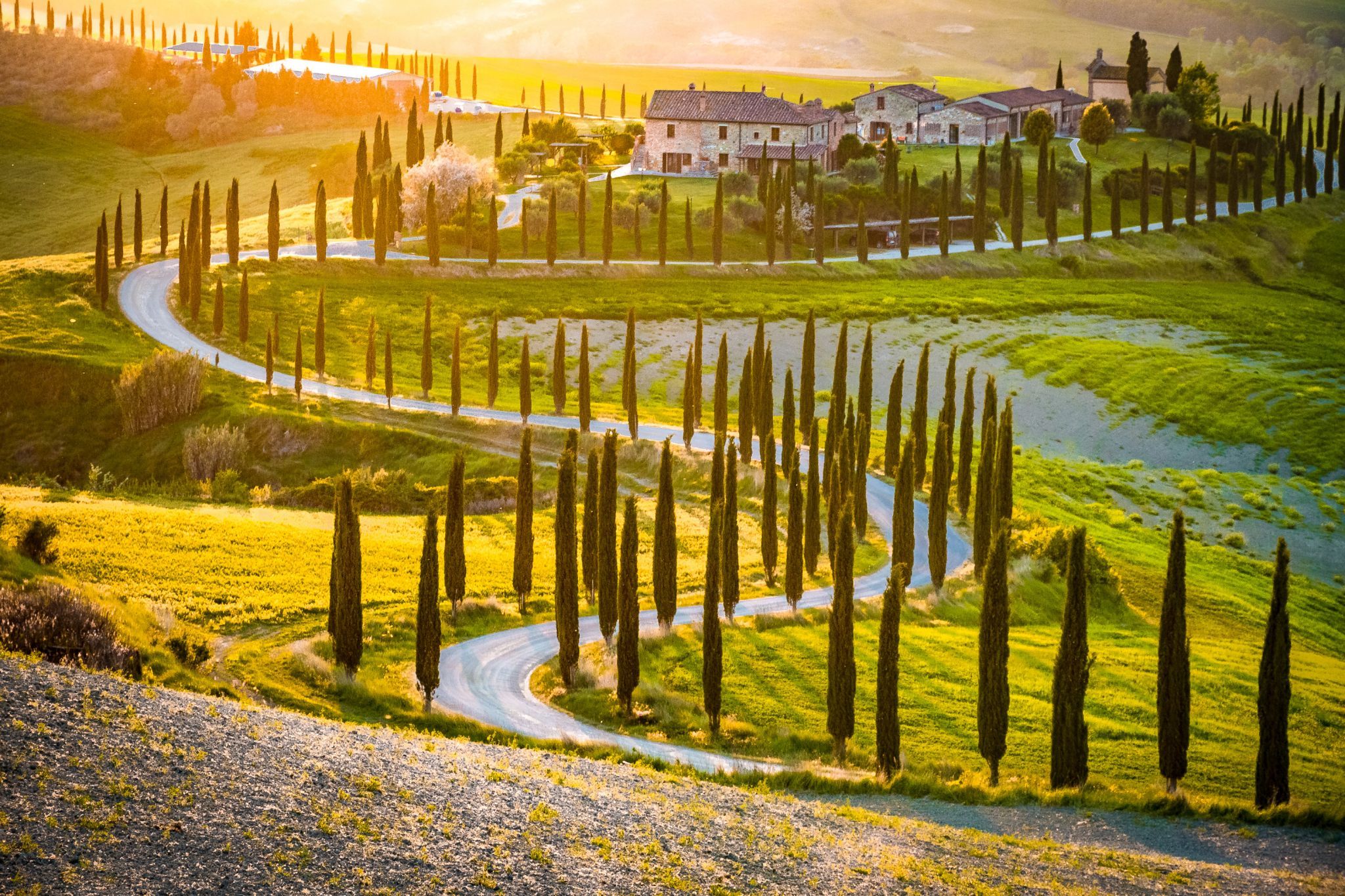 Agriturismo Baccoleno, Asciano, Italy