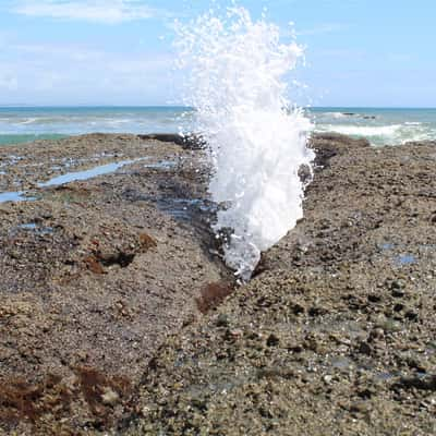 Blowhole, New Zealand