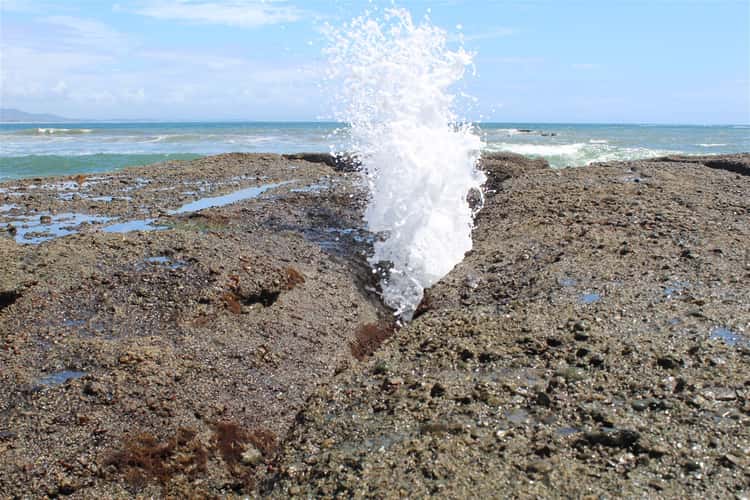Blowhole