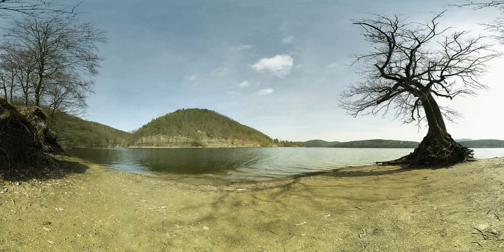 Eiche am Edersee