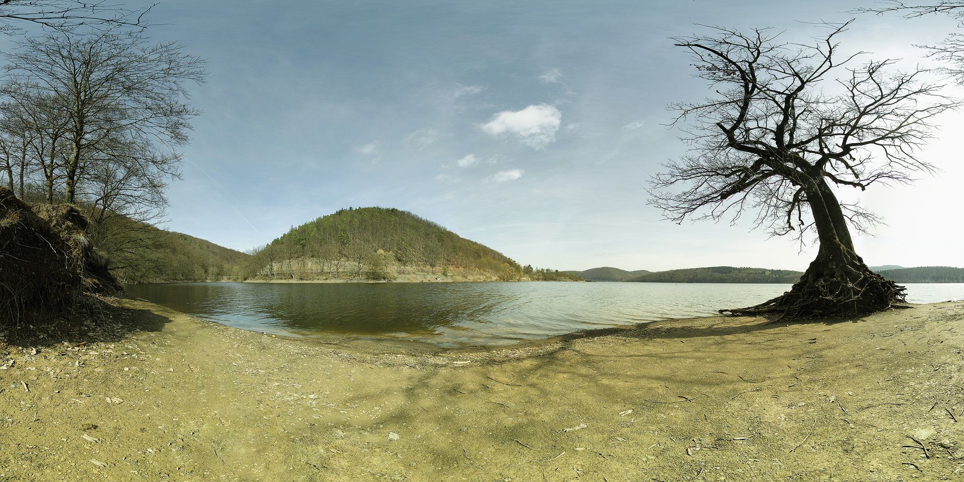 Eiche am Edersee, Germany