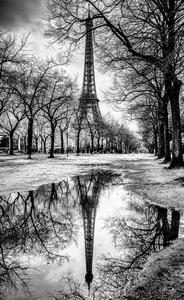 Eiffel Tower puddle reflection
