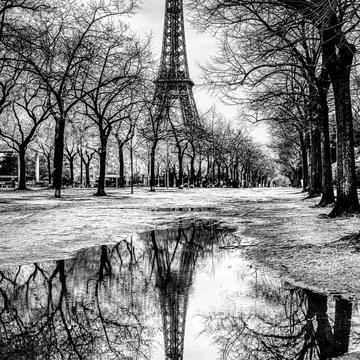 Eiffel Tower puddle reflection, France