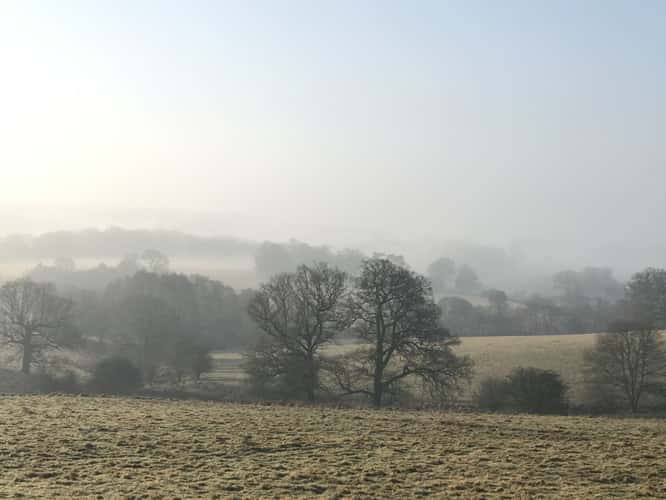 Eridge Valley