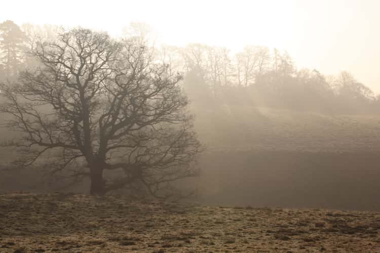 Eridge Valley
