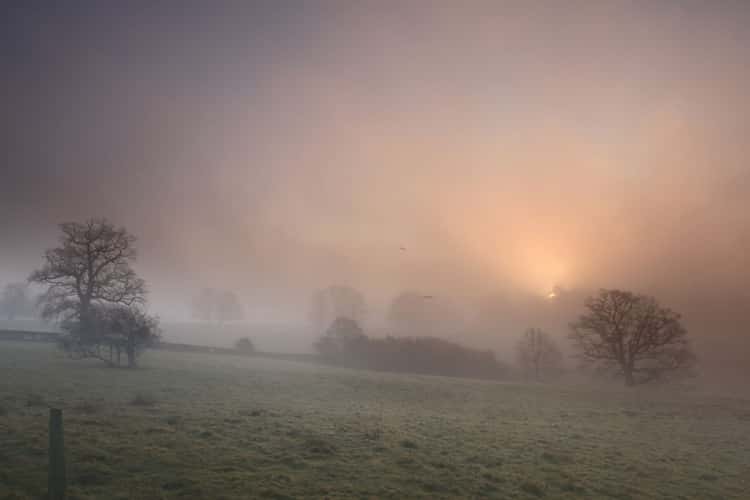 Eridge Valley