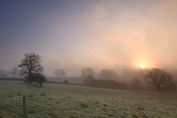Eridge Valley