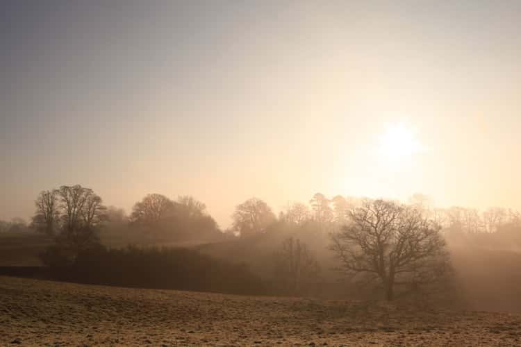 Eridge Valley