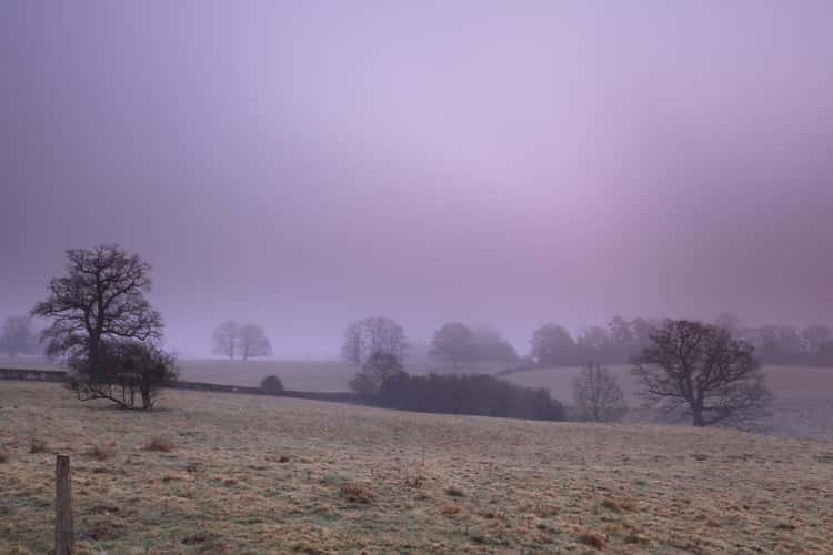 Eridge Valley