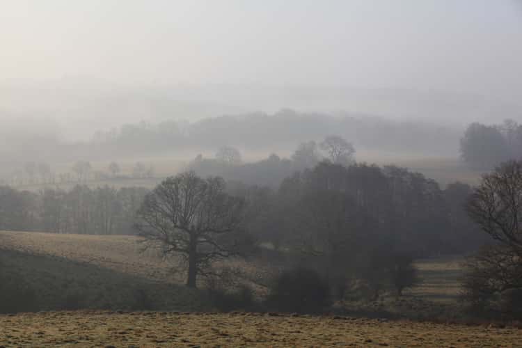 Eridge Valley