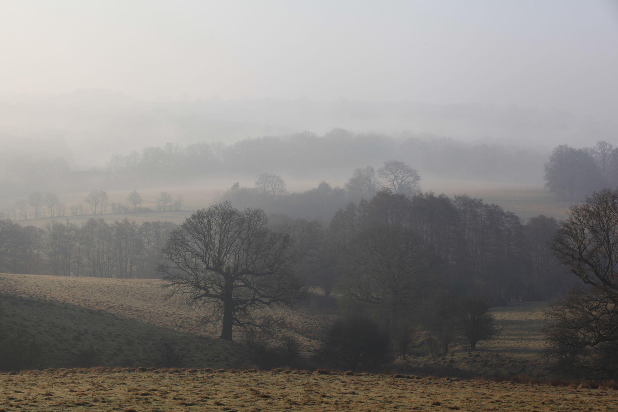 Eridge Valley, United Kingdom