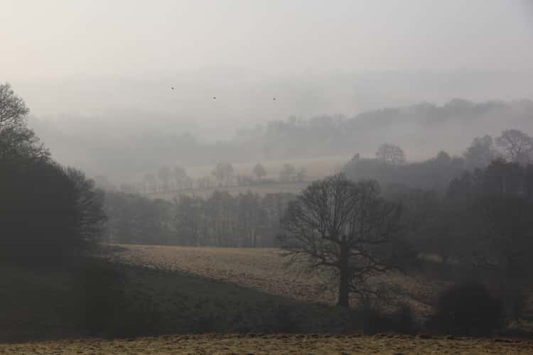 Eridge Valley