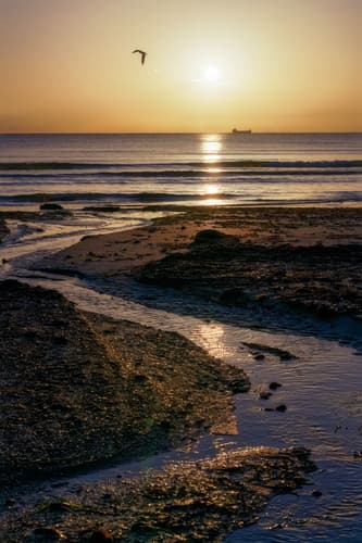 Finikoudes Pier