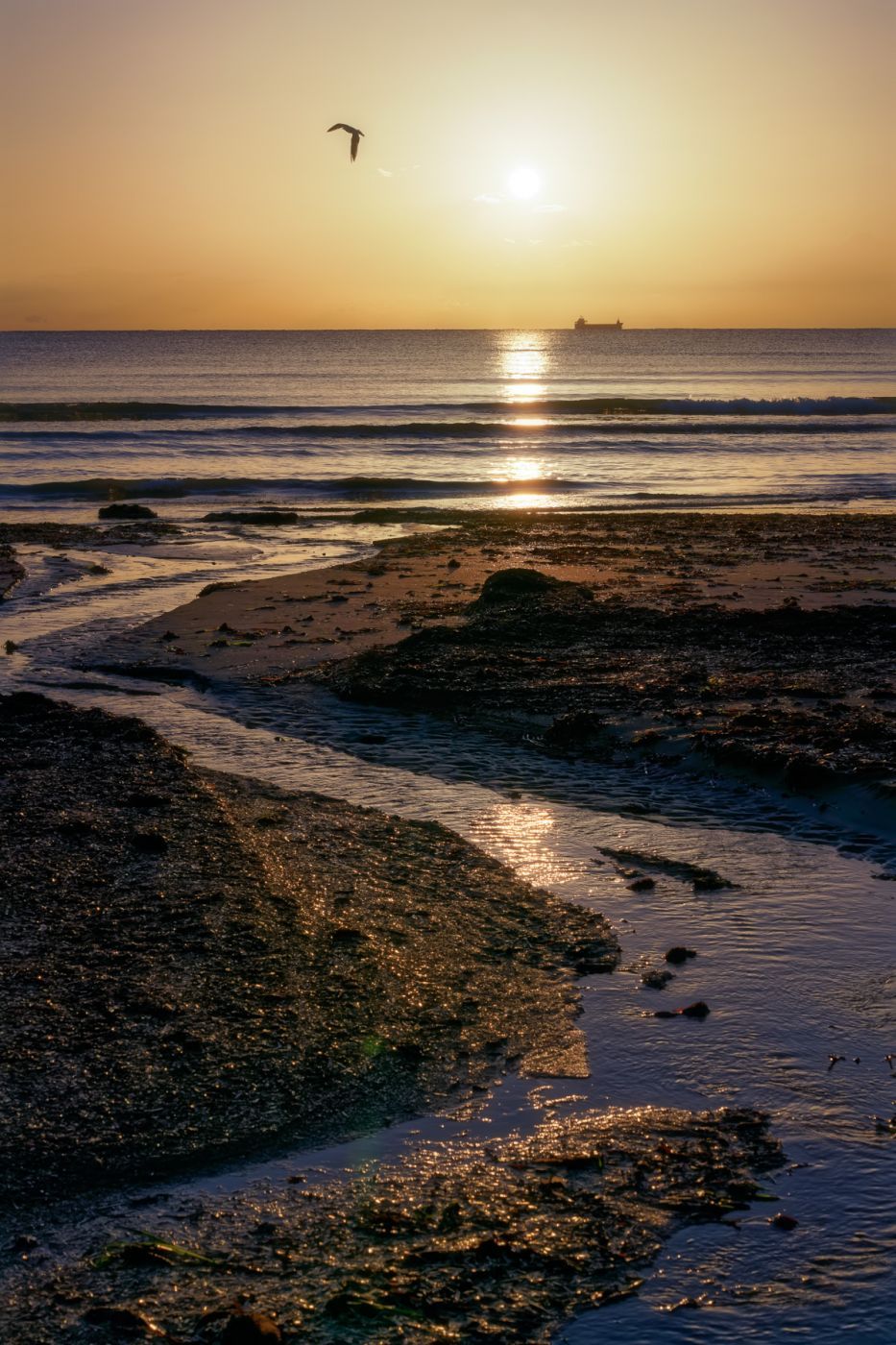Finikoudes Pier, Cyprus