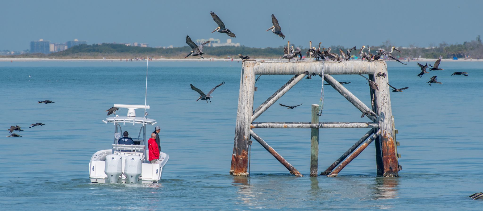Fort De Soto Park, Tierra Verde, Florida, USA
