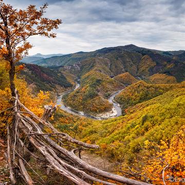 Golden autumn, Bulgaria