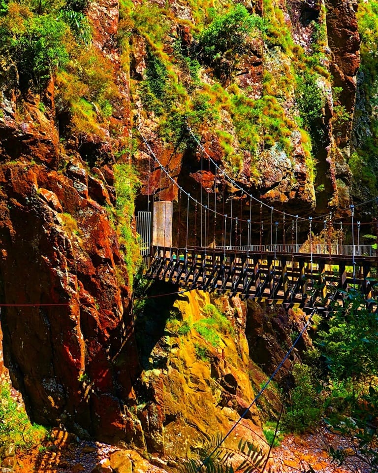 Golden Part 2., New Zealand