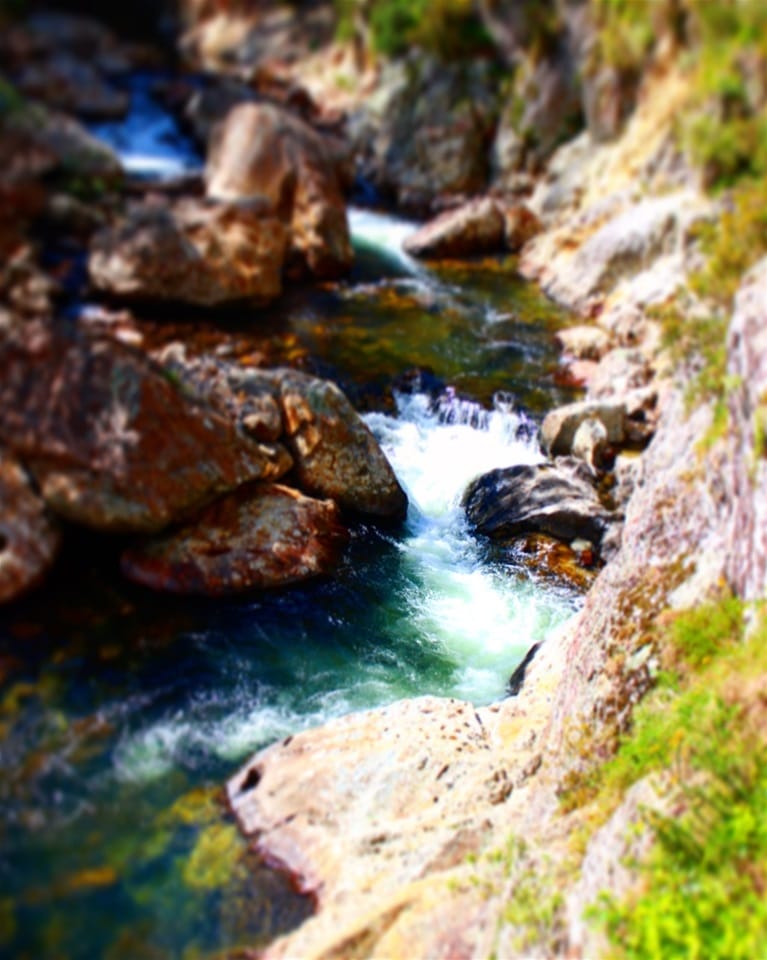 Golden Part 2., New Zealand