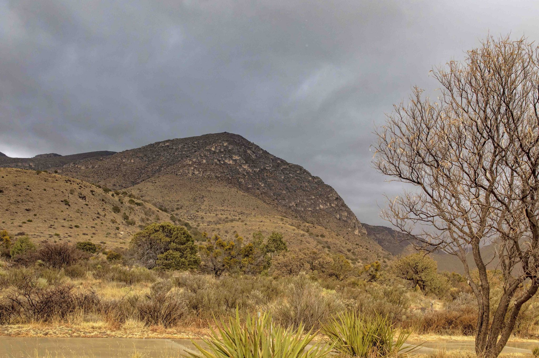 Guadalupe Mountains National Park, USA