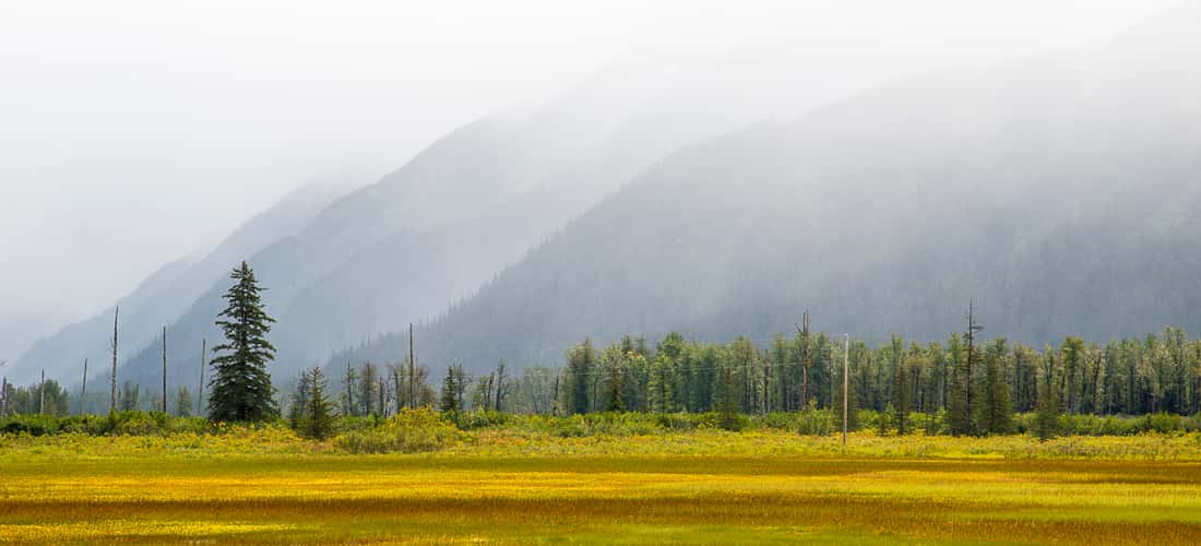 Hills south of Portage, AK