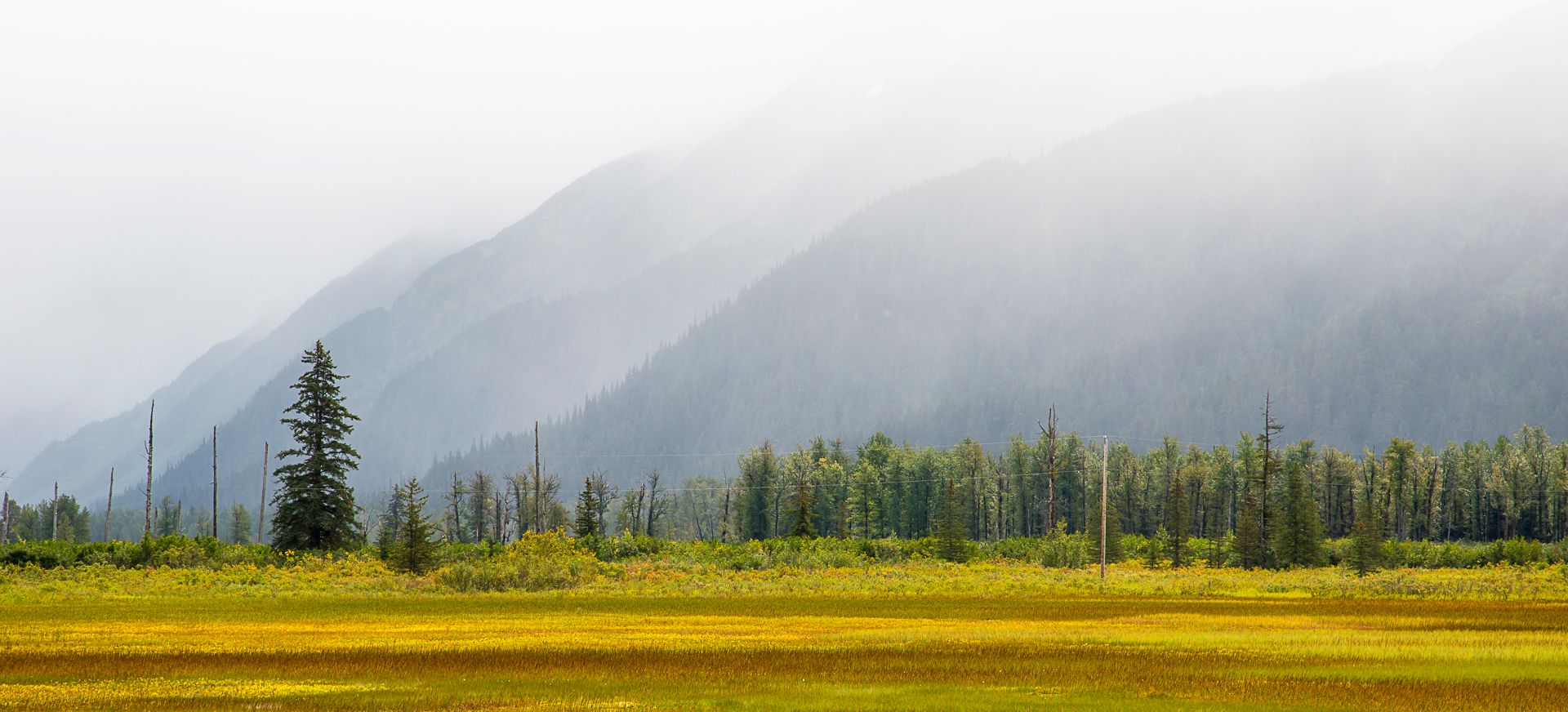 Hills south of Portage, AK, USA