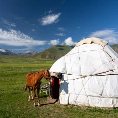 Jurtencamp bei Tarasu in Kirgistan, Kyrgyz Republic