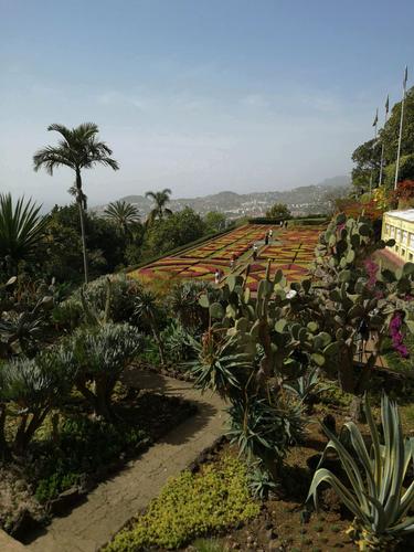 Madeira Botanical garden
