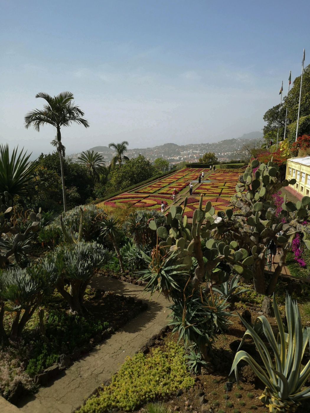 Madeira Botanical garden, Portugal