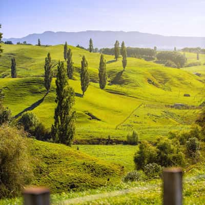 Near Hobbiton, New Zealand