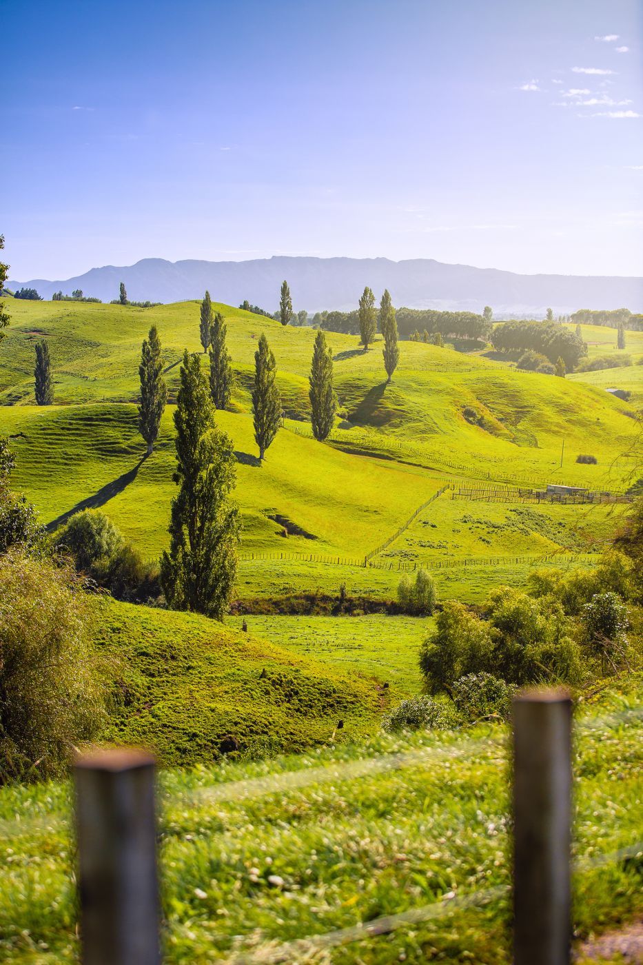 Near Hobbiton, New Zealand