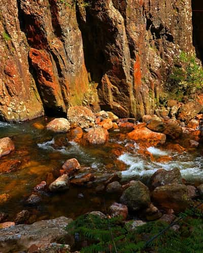 Karangahake Gorge