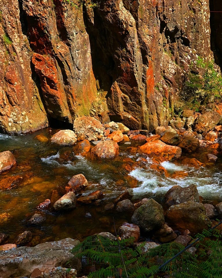 Karangahake Gorge, New Zealand