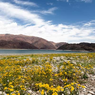 Orto-Tokoy Stausee in Kirgistan, Kyrgyz Republic