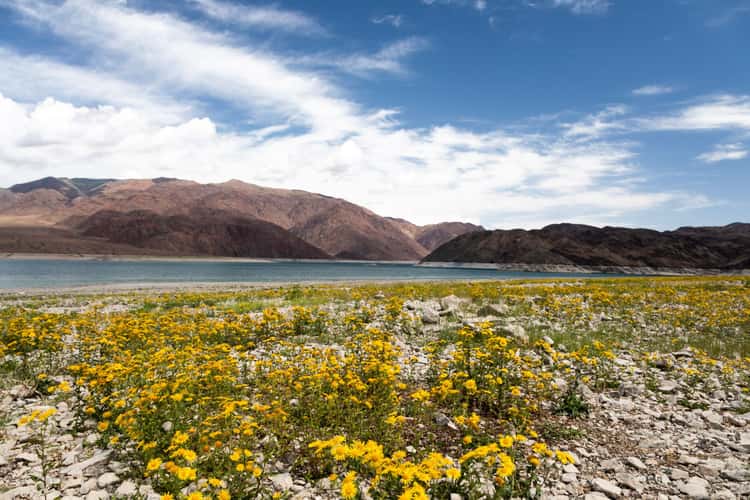 Orto-Tokoy Stausee in Kirgistan