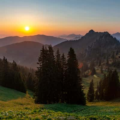 Pürschlinghaus, Germany