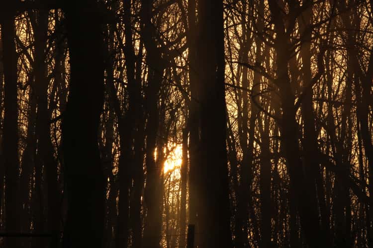 Reigate Hill