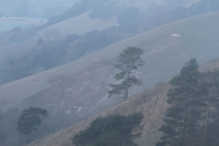 Reigate Hill