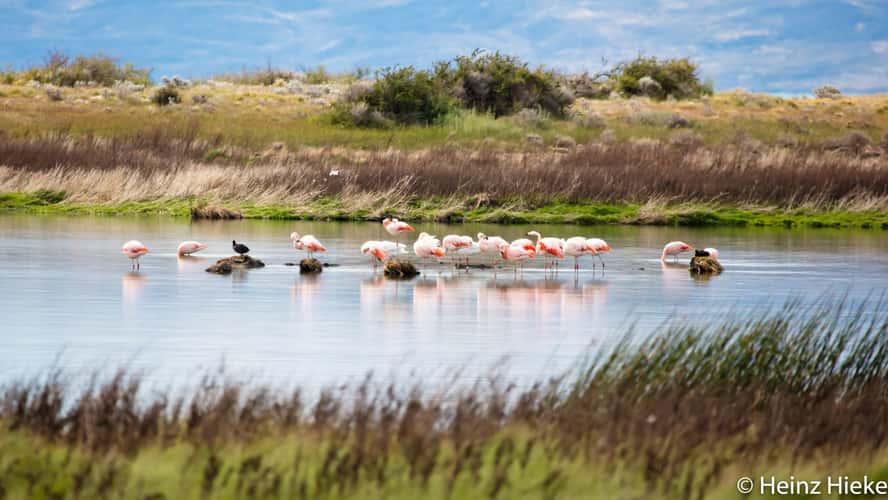 Reserva Laguna Nimez