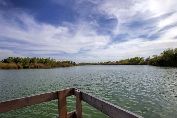 Rio Grande River - National Butterfly Center