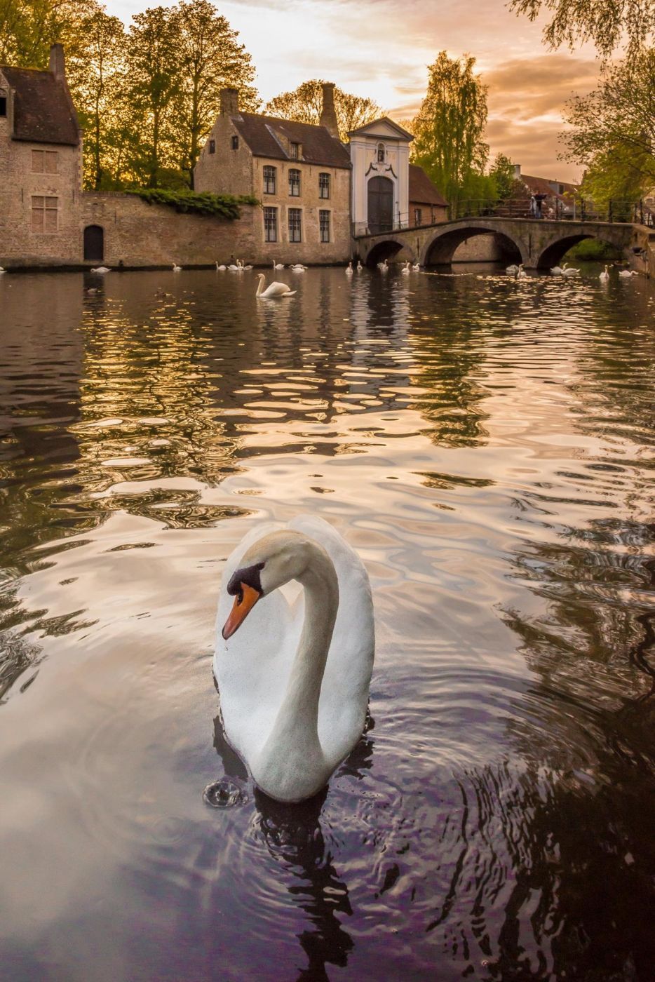 Side Road, Bruges, Belgium