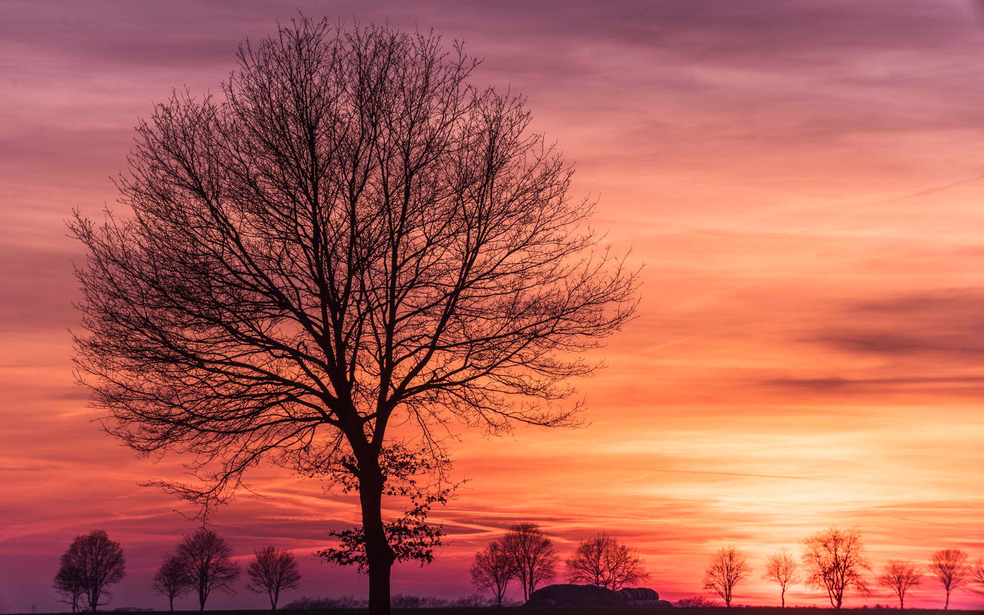 Sunset in rural Lower Saxony, Germany