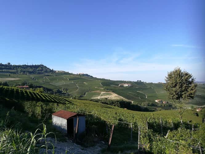 The Chapel of Barolo