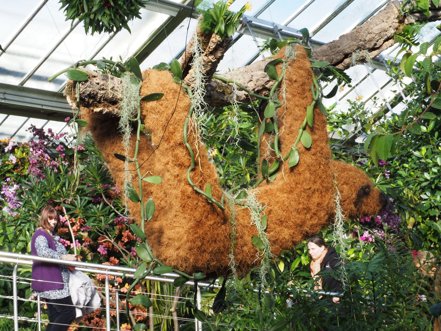 The Orchid Exhibition, United Kingdom