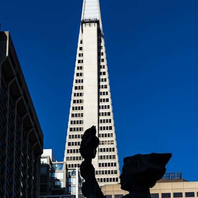 View of Transamerica Pyramid from Portsmouth Square, USA