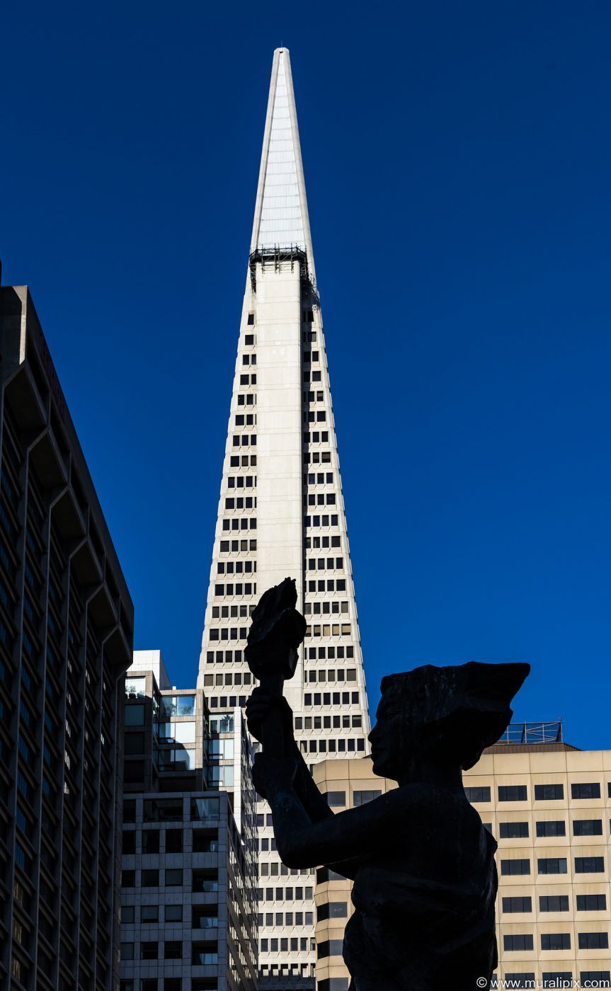 View of Transamerica Pyramid from Portsmouth Square, USA