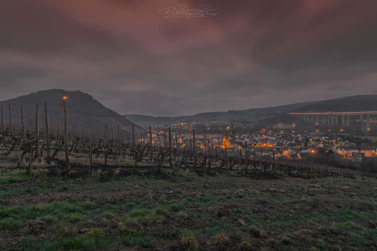 Weinberge in Heppingen