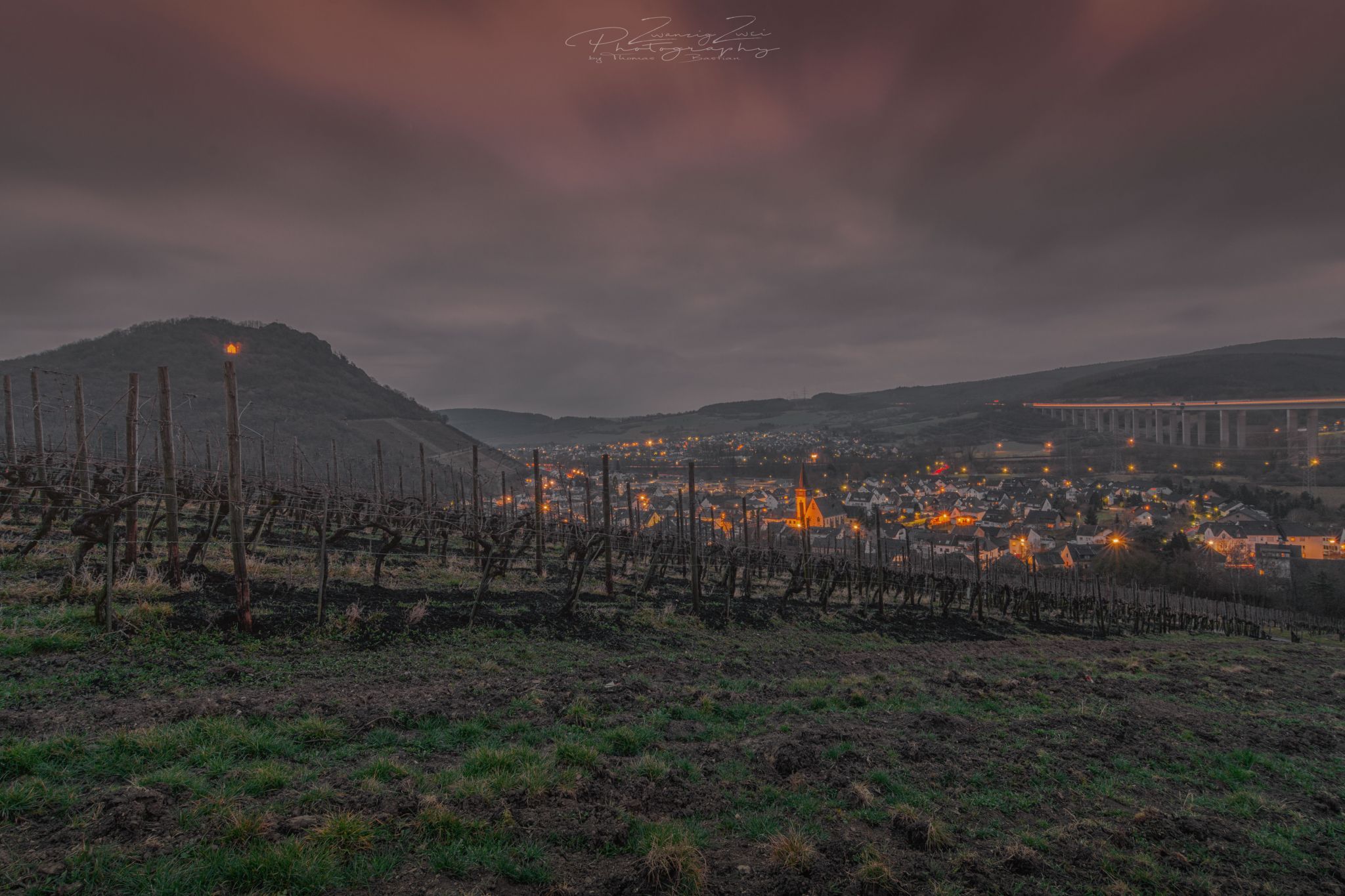 Weinberge in Heppingen, Germany