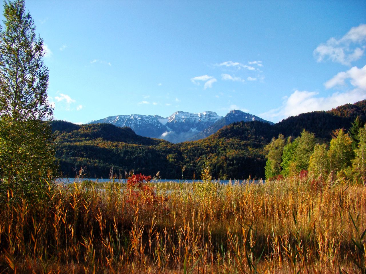 Weißensee, Germany